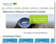 Wayout Investment Limited