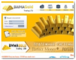 Bwma Gold Ltd