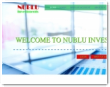 Nublu Investments Limited
