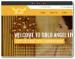 Gold Angel Limited