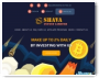 Shavainvest Limited