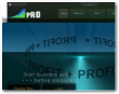 Profitpro Agency