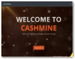 Cashmine.pro