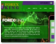 Forex King Limited