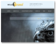 Wild Forex Ltd