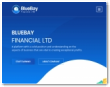 Bluebay Financial Ltd