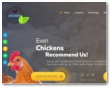 Chickenfunds