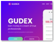 Gudex Ltd