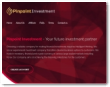 Pinpoint Investment