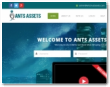 Ants Assets Limited