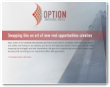 Option Investing