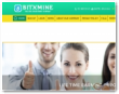 Bitxmine