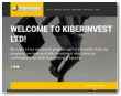 Kiberinvest.com