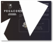 Pegacorn Ltd