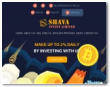 Shavainvest Limited