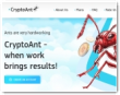 Crypto Ant Limited