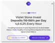 Violet Stone Invest