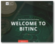 Bitinc