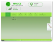 Magicb