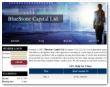 Bluestone Capital Ltd.