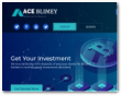 Ace Blimey Business Limited
