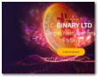 Crypto-Binary