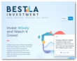 Bestla Investment Limited