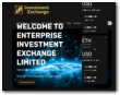 Enterprise Investment