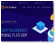 Bitcollect.live