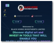 Black Horse Investments Limited
