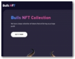 Nftbulls