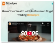 Bitbullpro